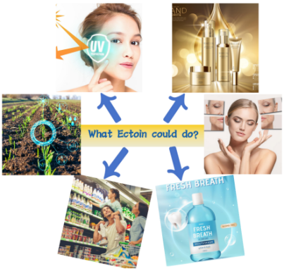 What is Ectoin? What Ectoin could do?